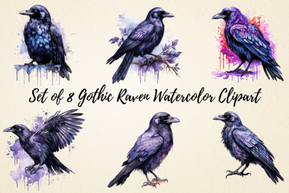Download Gothic Raven Watercolor Clipart - Premium Resources